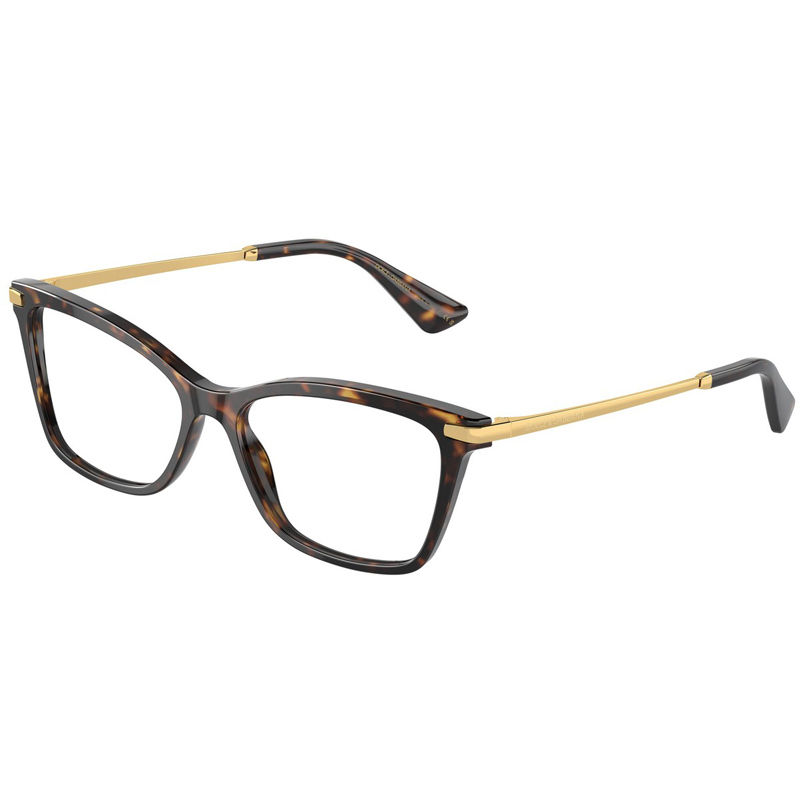 DOLCE E GABBANA 0DG3393-502
