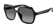 Giorgio Armani 0AR8193U-500119