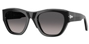 Persol 0PO0054S-95M3