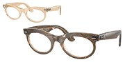 Ray Ban 0RX2242V-8294
