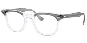 Ray Ban 0RX5398-8111
