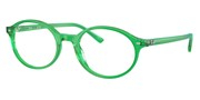 Ray Ban 0RX5429-8441