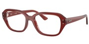 Ray Ban 0RX7258-8436