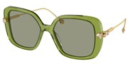 Swarovski Eyewear 0SK6011-30022