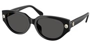 Swarovski Eyewear 0SK6035D-100187