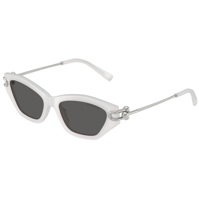 TIFFANY 0TF4231U-8437S4