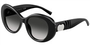 Tiffany 0TF4228-80013C