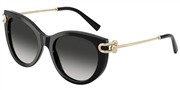Tiffany 0TF4232-80013C