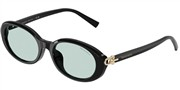 Tiffany 0TF4242D-8001D9